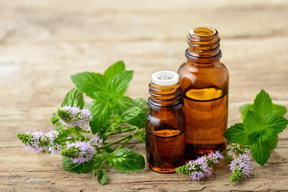 10 Best Antibacterial Essential Oils Option in 2024