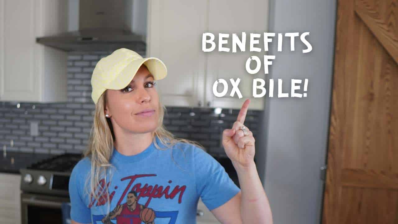 Ox Bile Supplements in the UK: A Complete Guide