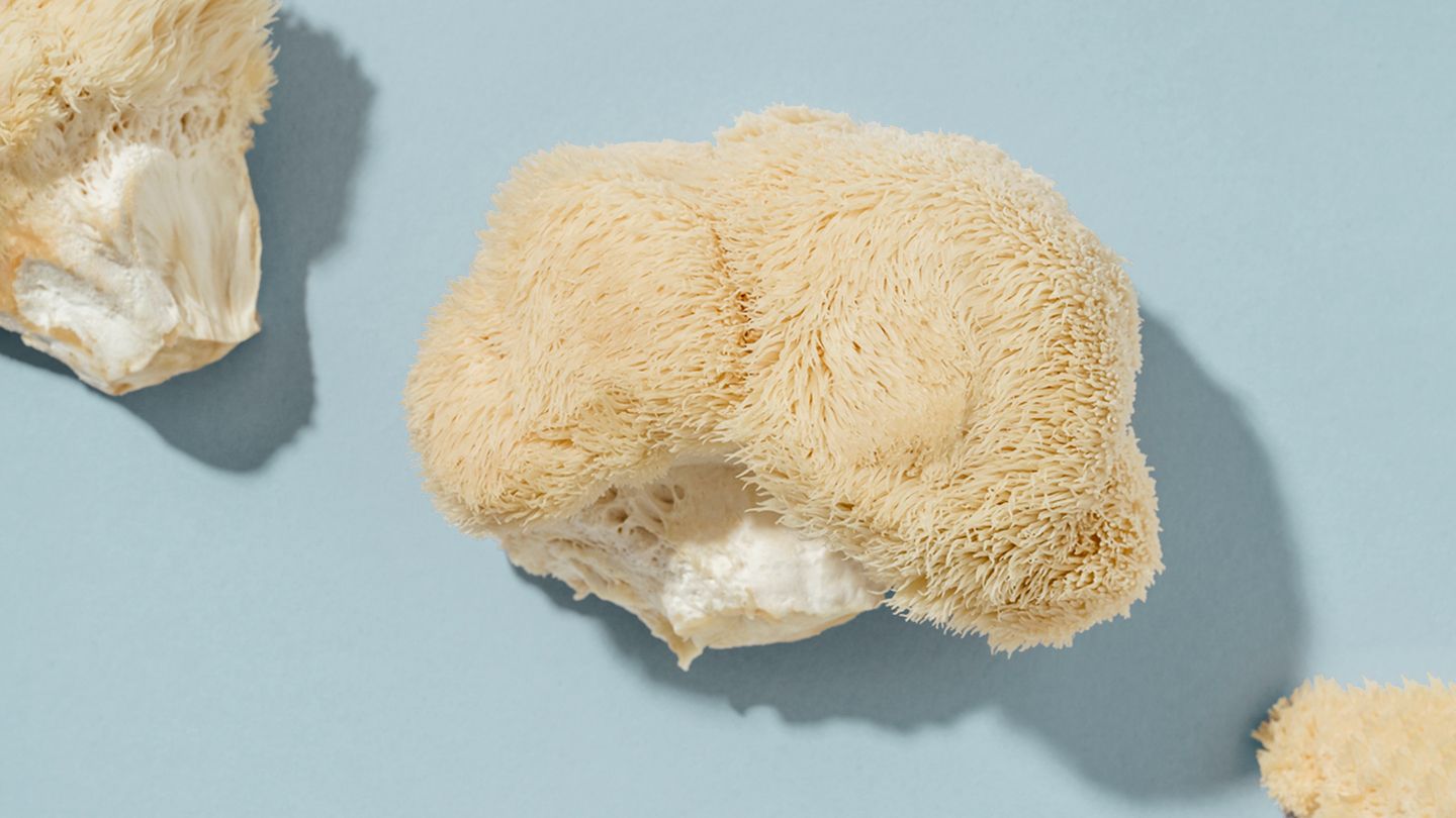 Lion’s Mane: The UK’s Introduction to the Mushroom for the Mind